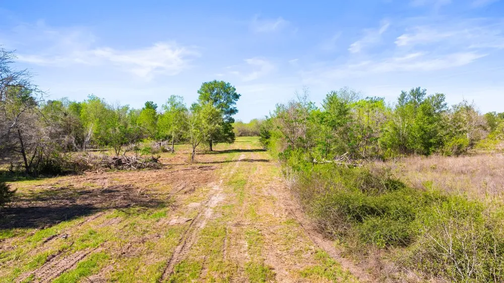 8530 FM 153 La Grange, TX 78945