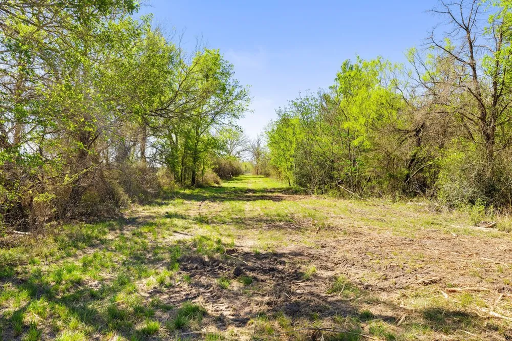 8530 FM 153 La Grange, TX 78945