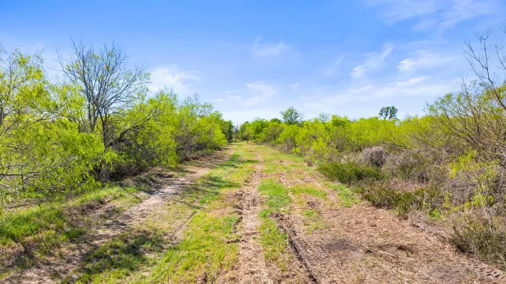 8530 FM 153 La Grange, TX 78945