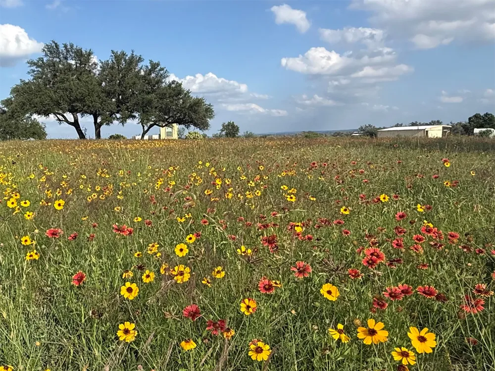 2502 Ranch Road 1323 Johnson City, TX 78636