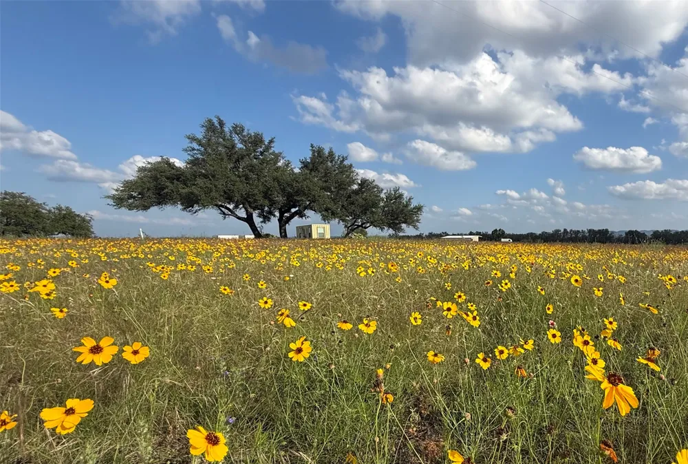 2502 Ranch Road 1323 Johnson City, TX 78636