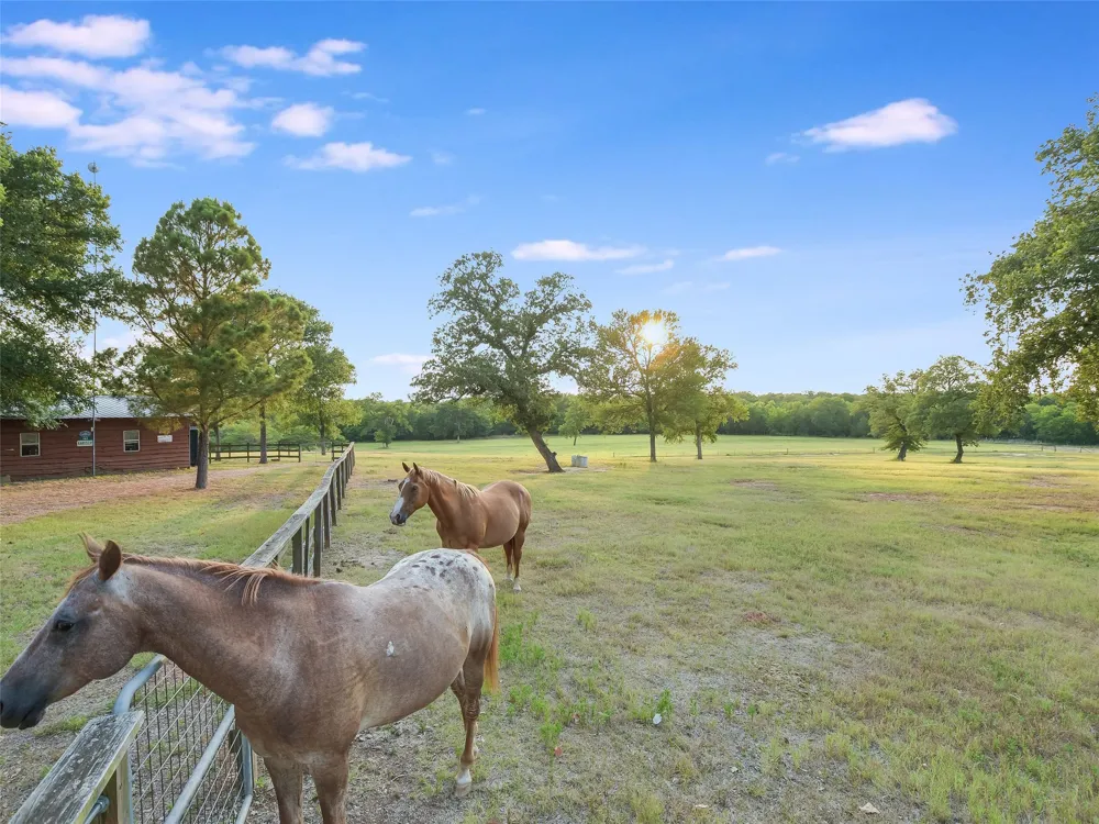 762 Karisch Road Giddings, TX 78942