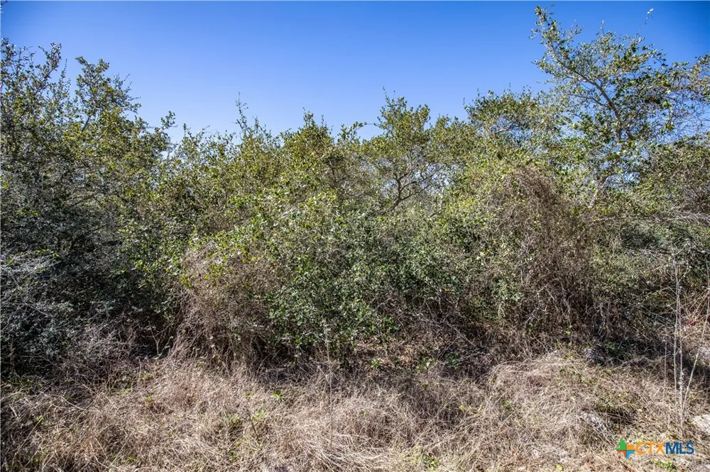 13 Rhodes Avenue Aransas Pass, TX 78336
