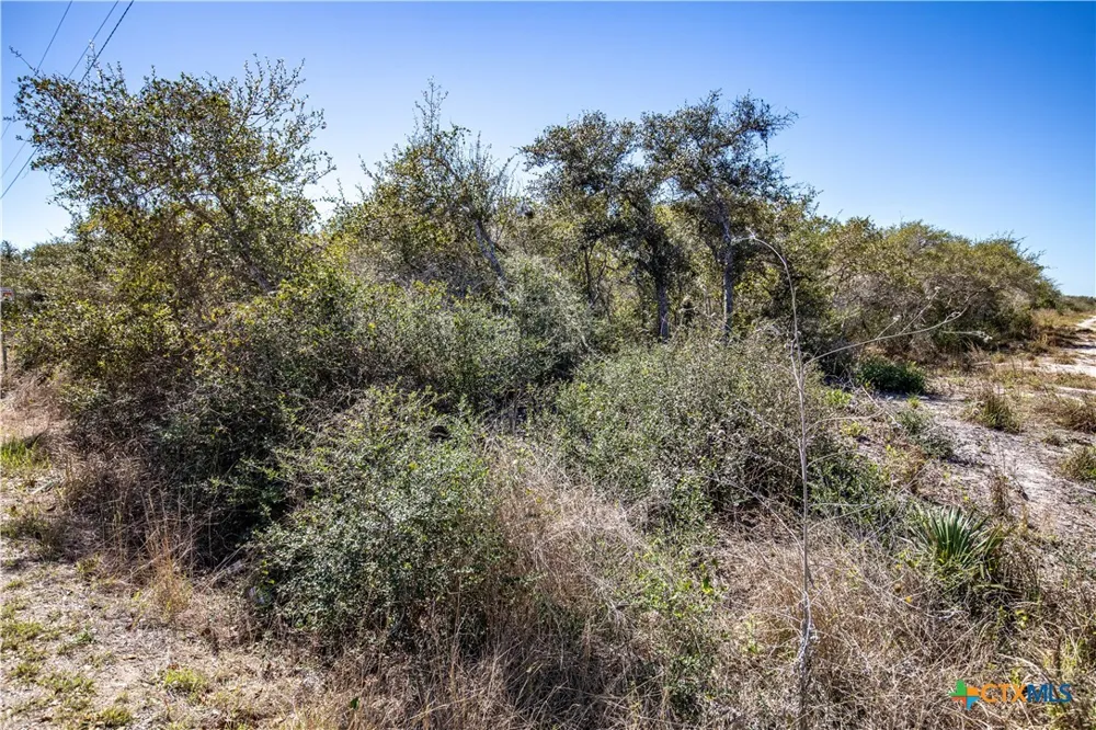 13 Rhodes Avenue Aransas Pass, TX 78336
