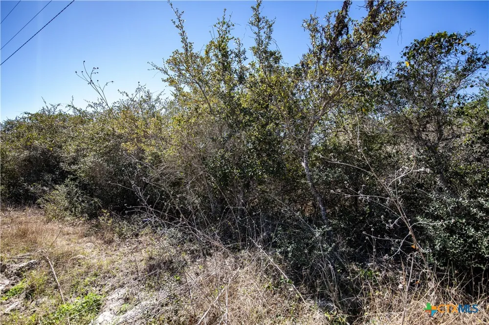 13 Rhodes Avenue Aransas Pass, TX 78336