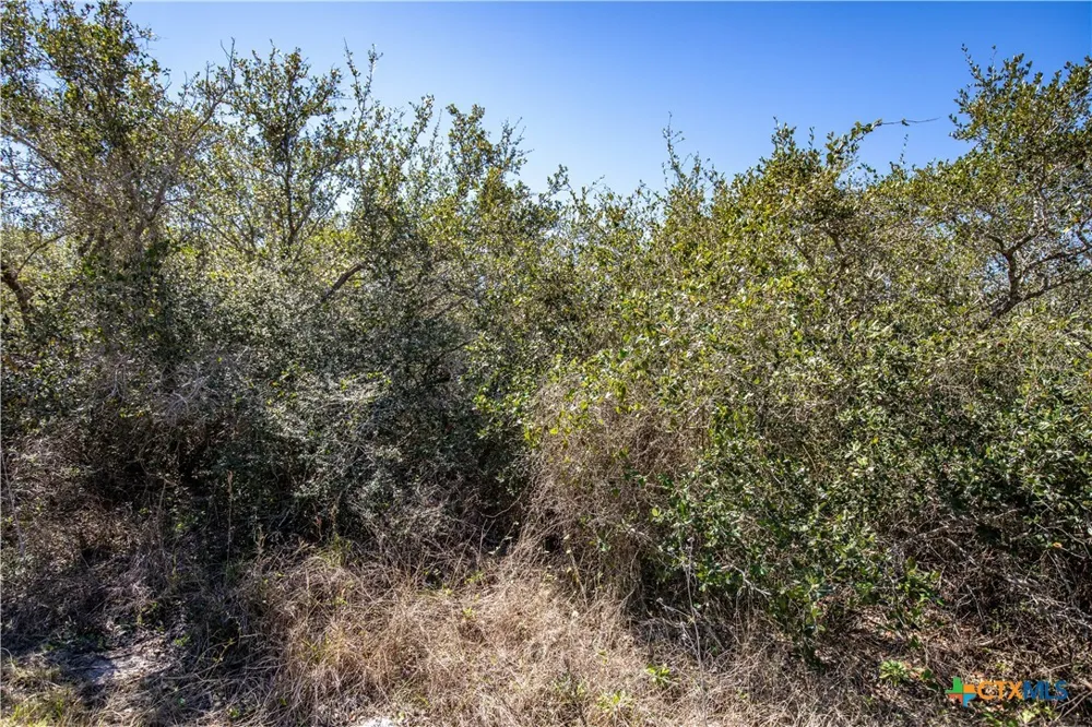 13 Rhodes Avenue Aransas Pass, TX 78336
