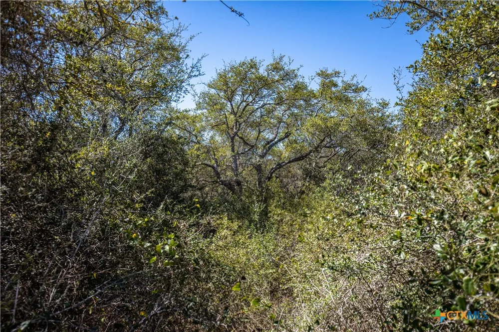 13 Rhodes Avenue Aransas Pass, TX 78336