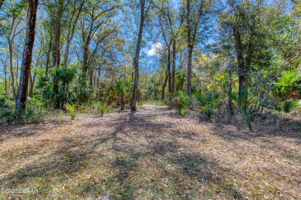 1805 Adrian Creek Boulevard Port Orange, FL 32128