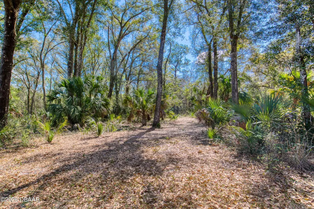 1805 Adrian Creek Boulevard Port Orange, FL 32128
