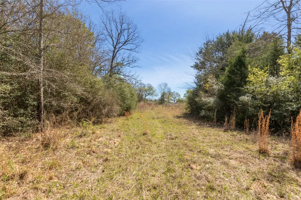 Pr 3891 Jewett, TX 75846
