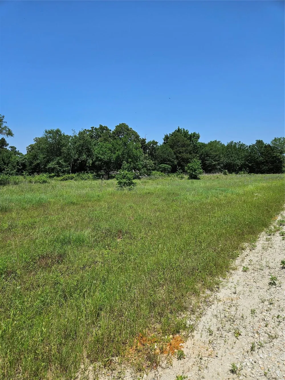 Pr 3891 Jewett, TX 75846