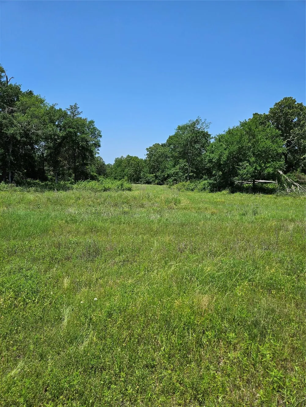 Pr 3891 Jewett, TX 75846