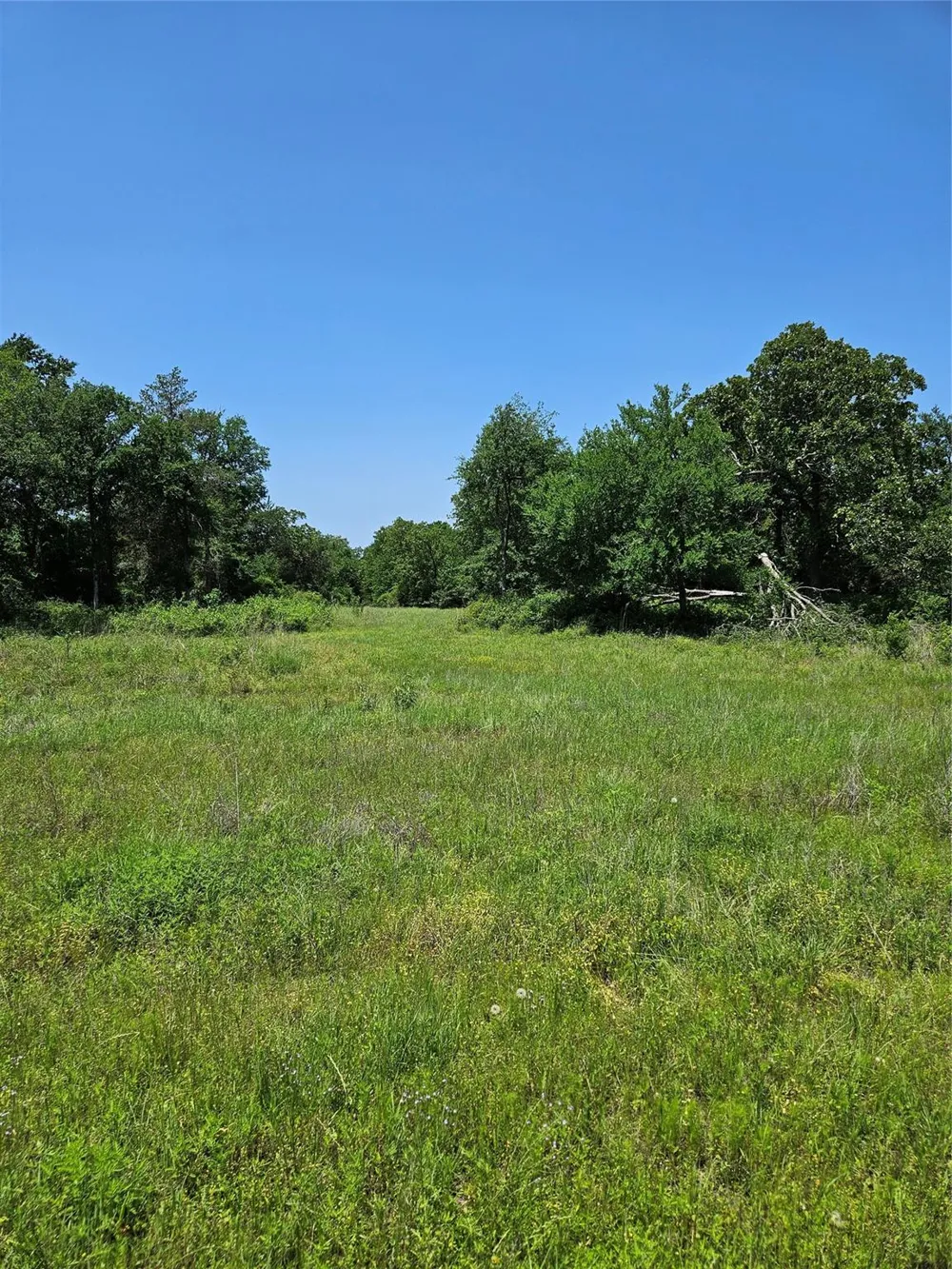 Pr 3891 Jewett, TX 75846