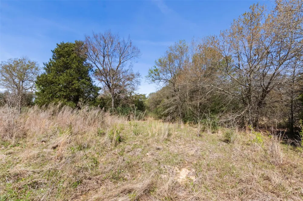 Pr 3891 Jewett, TX 75846