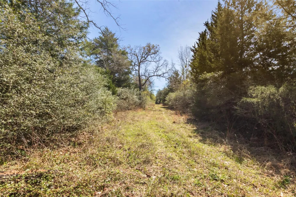 Pr 3891 Jewett, TX 75846
