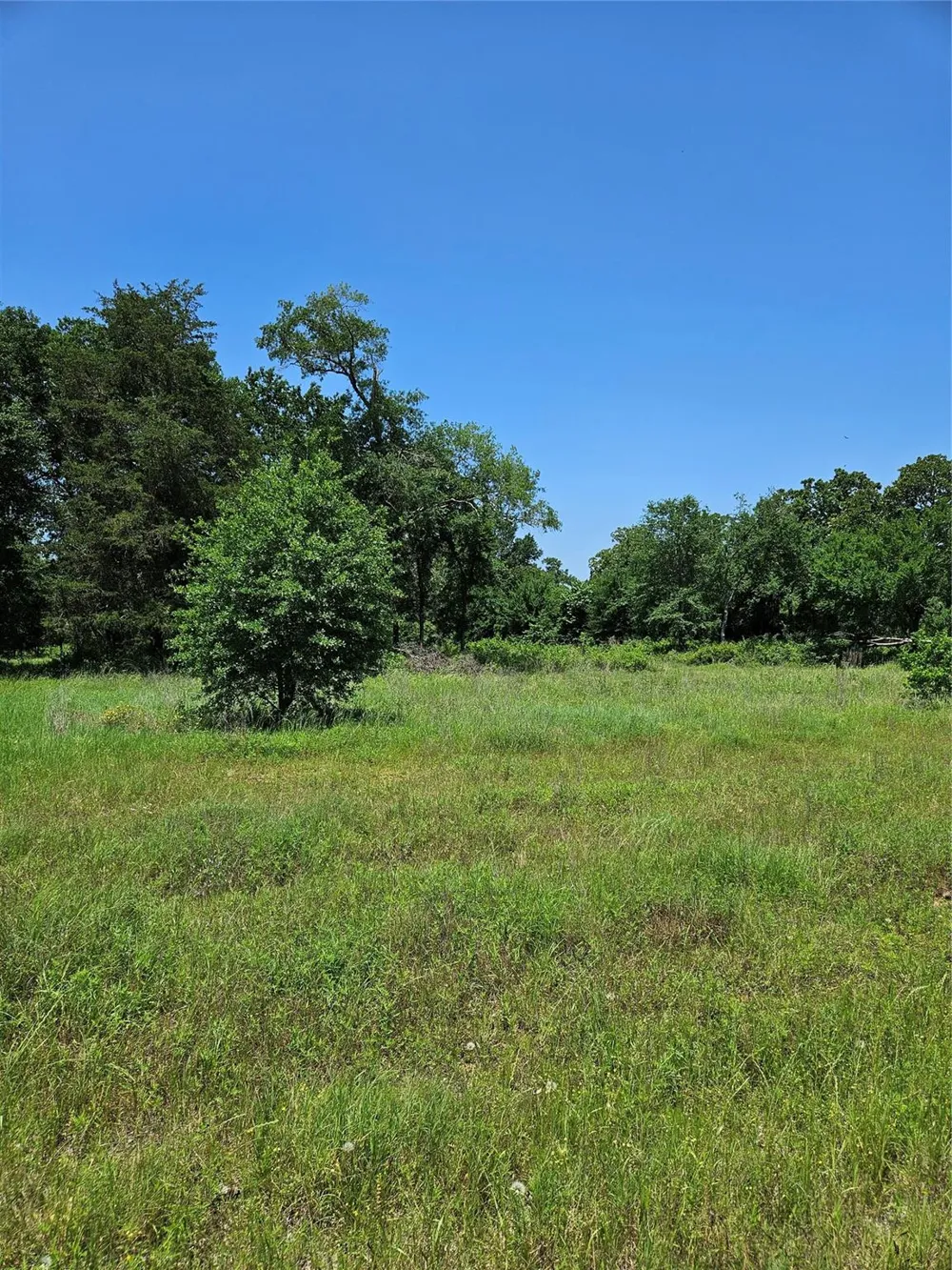 Pr 3891 Jewett, TX 75846