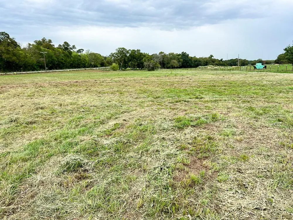 4 Cr 319 Navasota, TX 77868