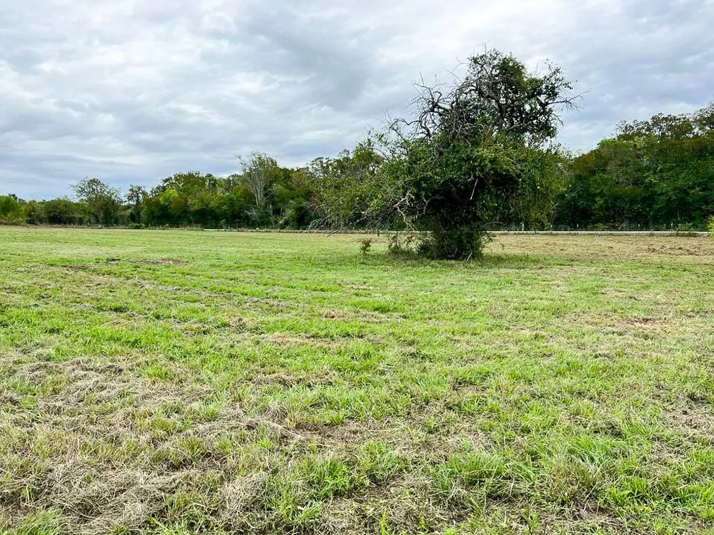 4 Cr 319 Navasota, TX 77868
