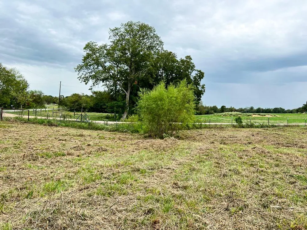 4 Cr 319 Navasota, TX 77868