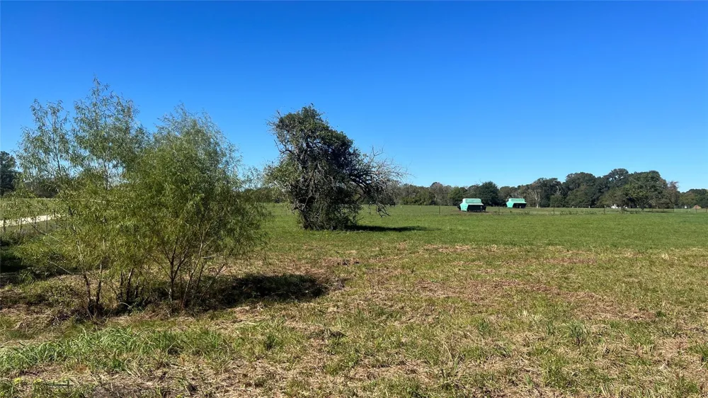 4 Cr 319 Navasota, TX 77868