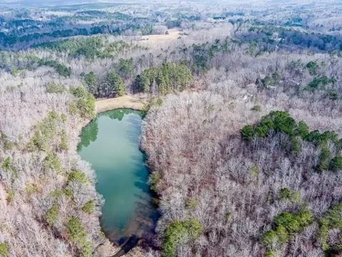 0 Williams TRACT D Lane