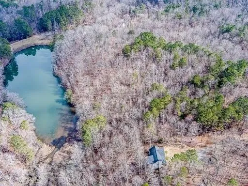 0 Williams TRACT D Lane Ball Ground, GA 30107