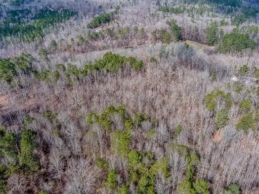 0 Williams TRACT D Lane Ball Ground, GA 30107