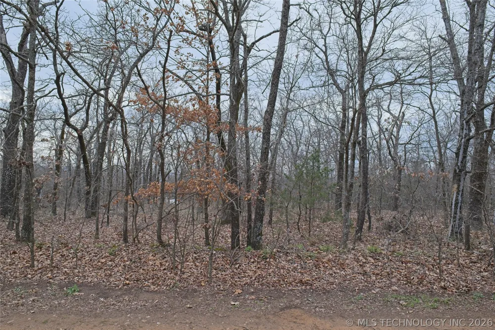 S 4547 DRIVE Vian, OK 74962