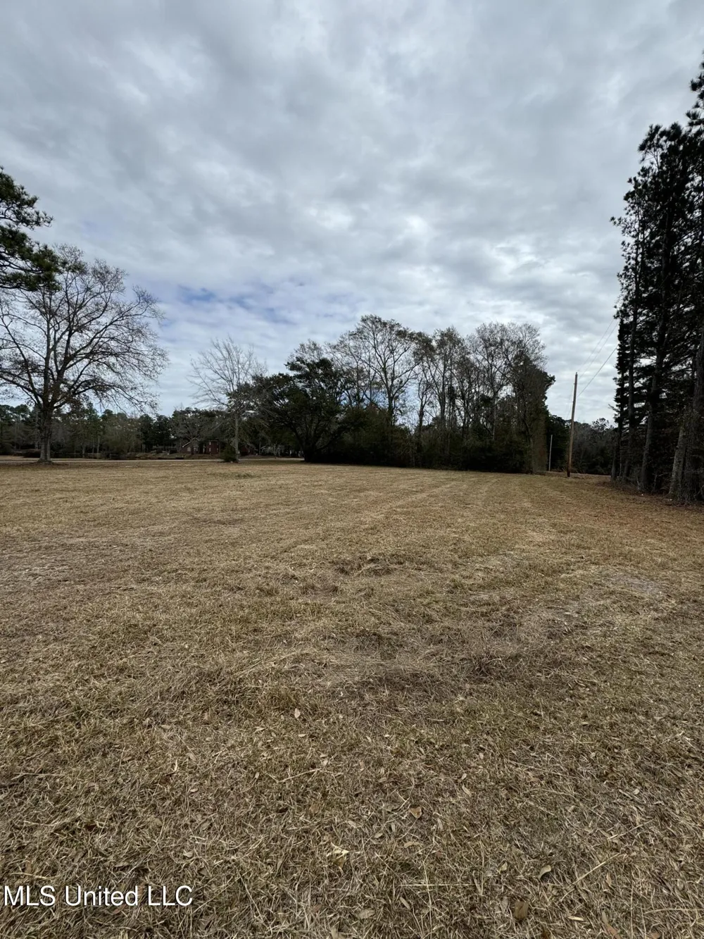 George Mitchell Road Carriere, MS 39426