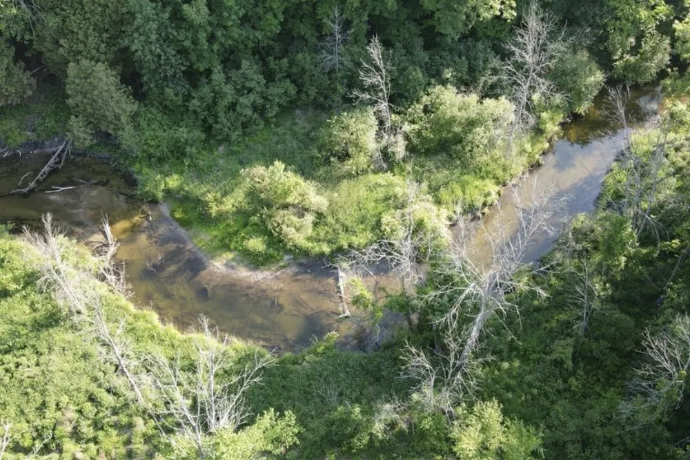 12952 Bowen Lake Drive NE Gowen, MI 49326