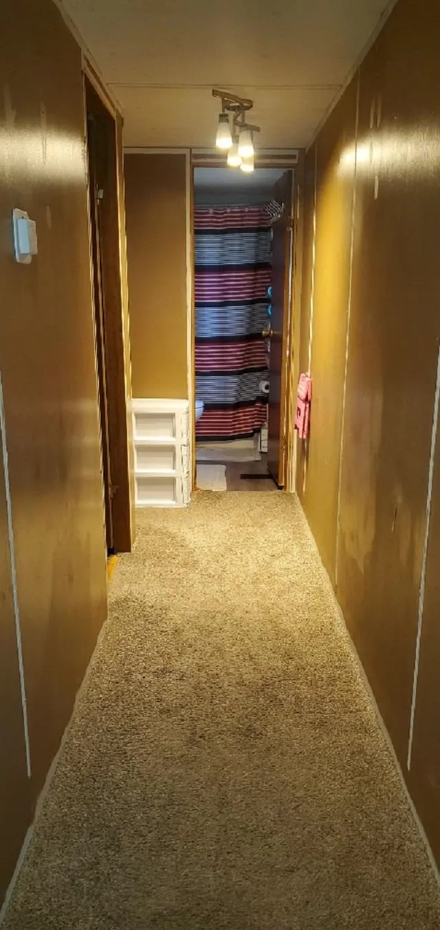 203 Fairview Boulevard Grant Township, MI 48622
