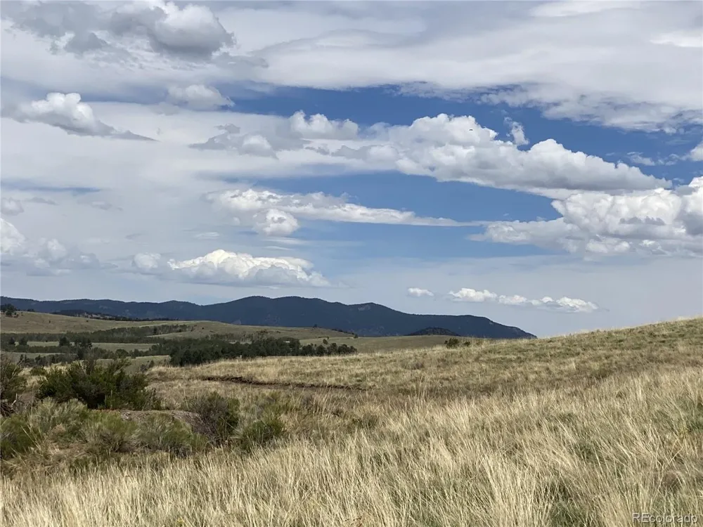County Road 341 Westcliffe, CO 81252