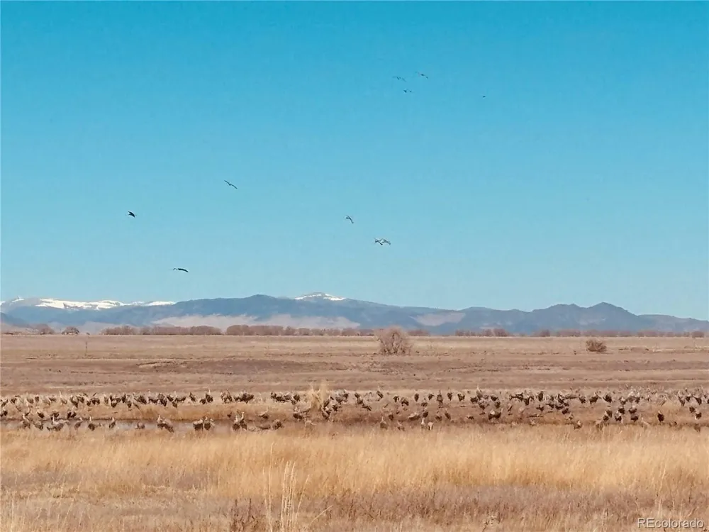 24501 County Road 6 La Jara, CO 81140