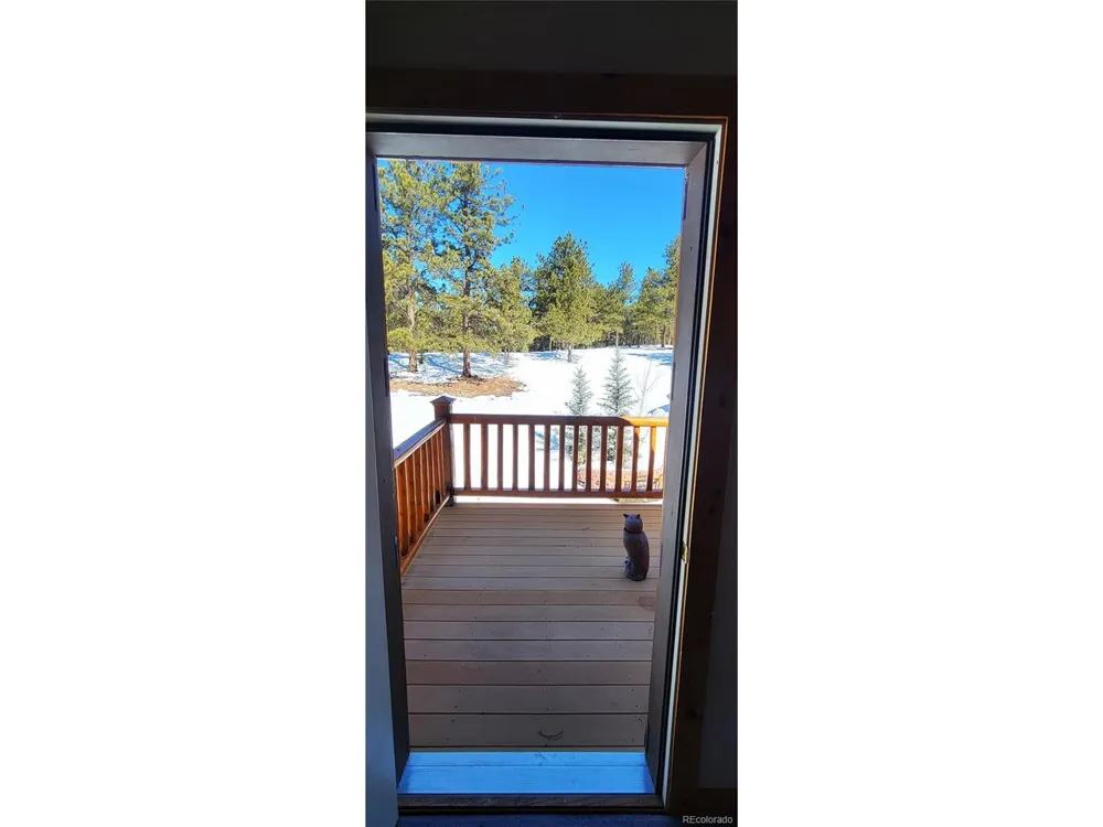1321 Bristlecone Road Guffey, CO 80820