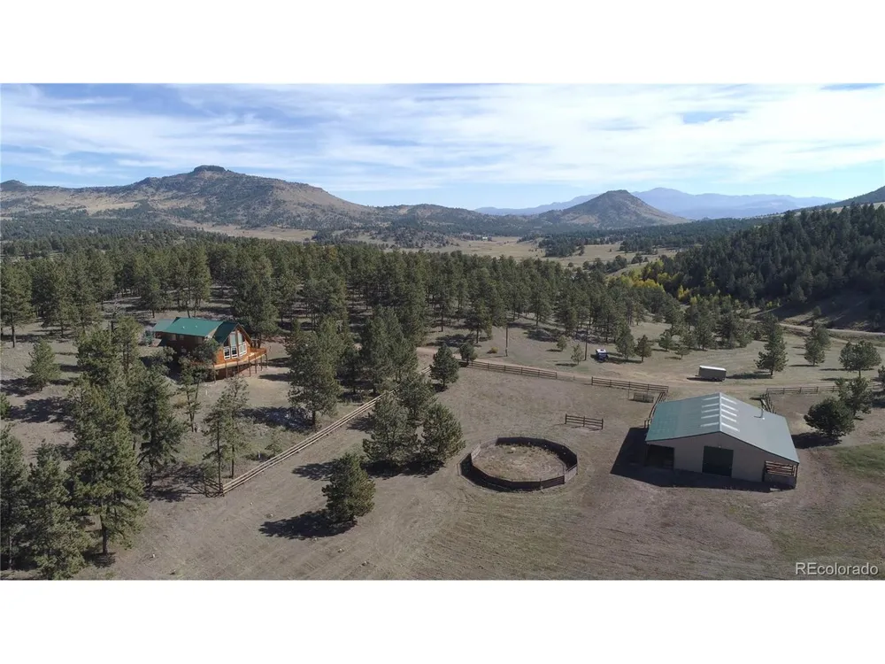 1321 Bristlecone Road Guffey, CO 80820