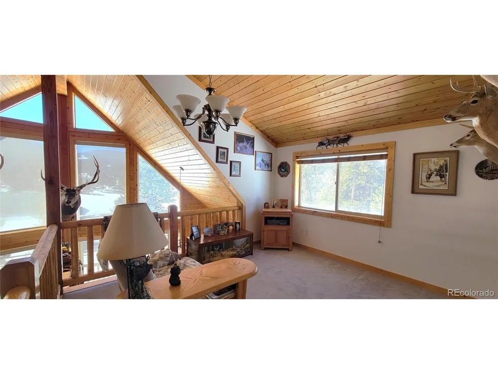 1321 Bristlecone Road Guffey, CO 80820