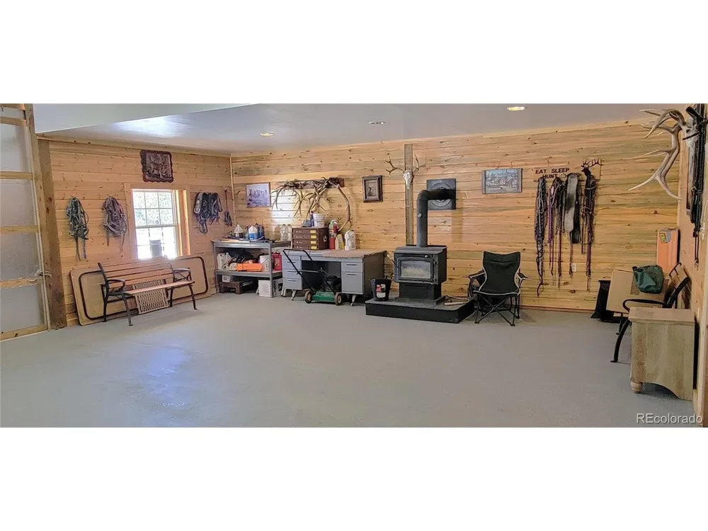 1321 Bristlecone Road Guffey, CO 80820