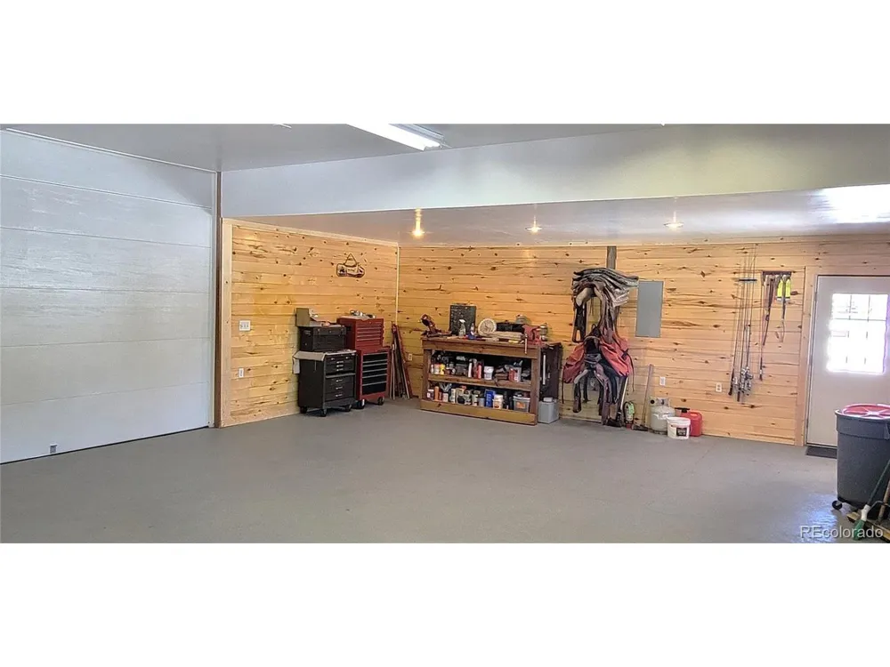1321 Bristlecone Road Guffey, CO 80820