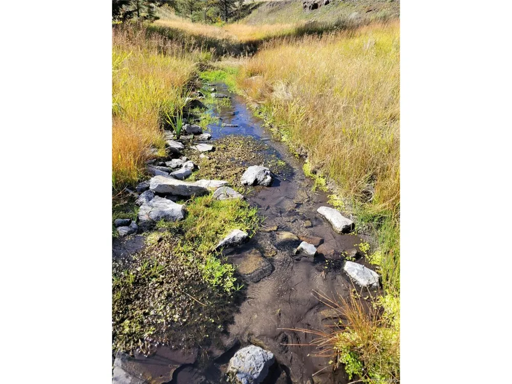 1321 Bristlecone Road Guffey, CO 80820