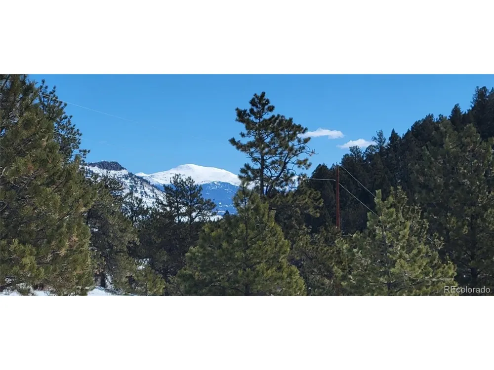 1321 Bristlecone Road Guffey, CO 80820