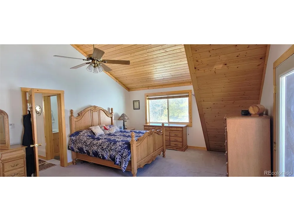 1321 Bristlecone Road Guffey, CO 80820