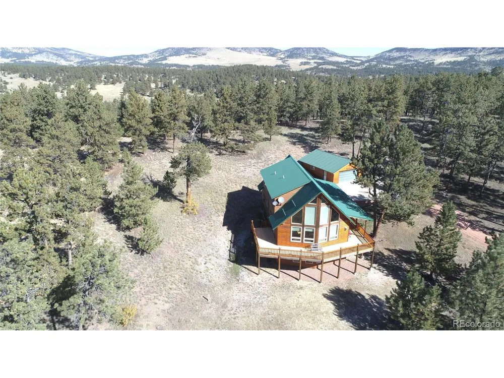 1321 Bristlecone Road Guffey, CO 80820