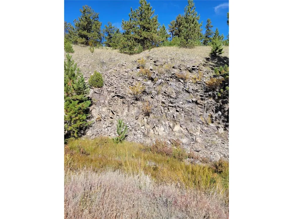 1321 Bristlecone Road Guffey, CO 80820