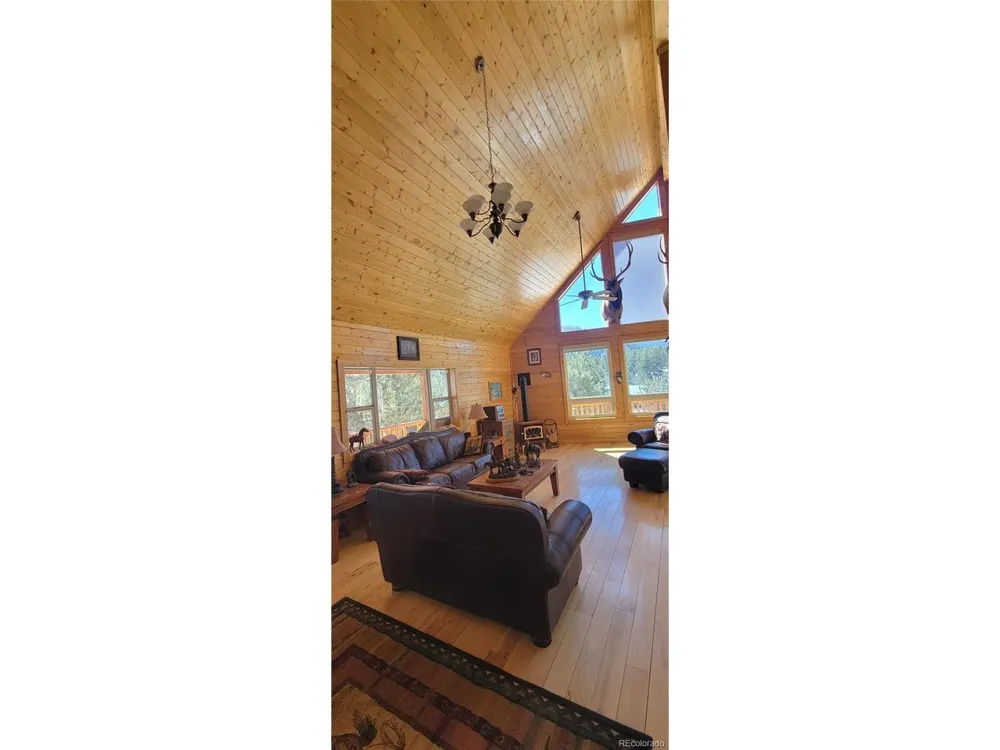 1321 Bristlecone Road Guffey, CO 80820