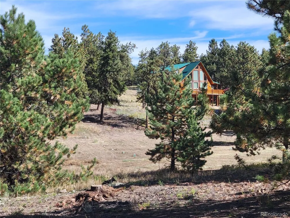 1321 Bristlecone Road Guffey, CO 80820