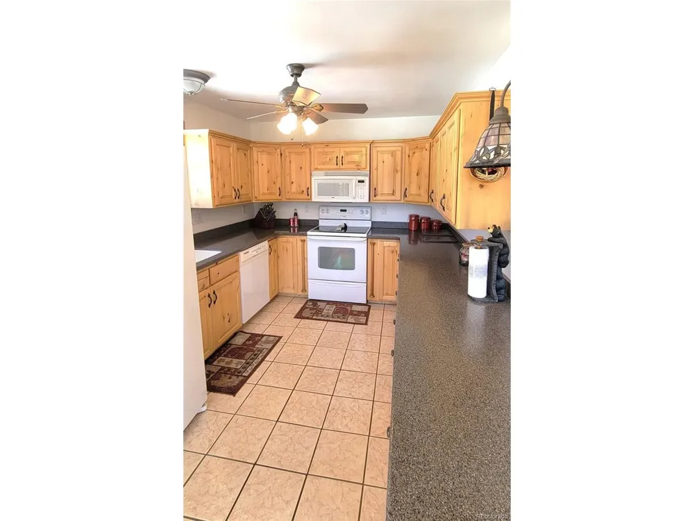 1321 Bristlecone Road Guffey, CO 80820