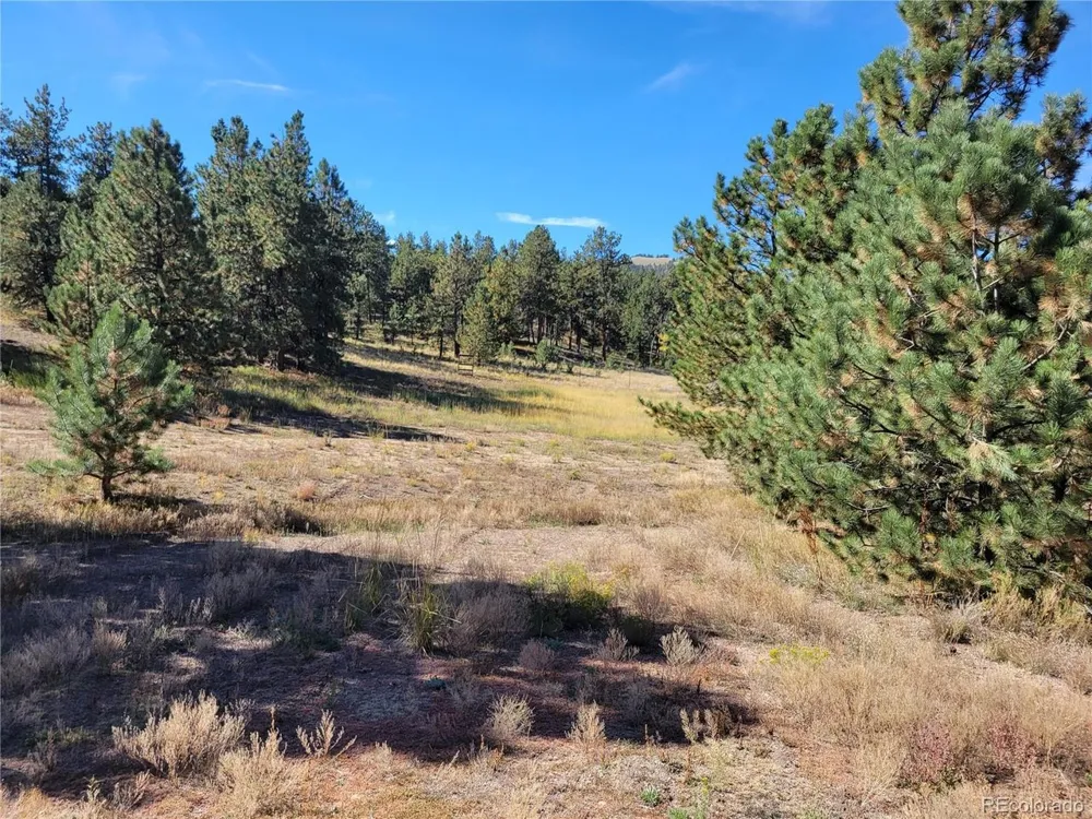 1321 Bristlecone Road Guffey, CO 80820
