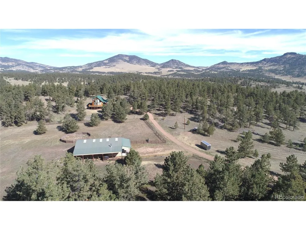 1321 Bristlecone Road Guffey, CO 80820