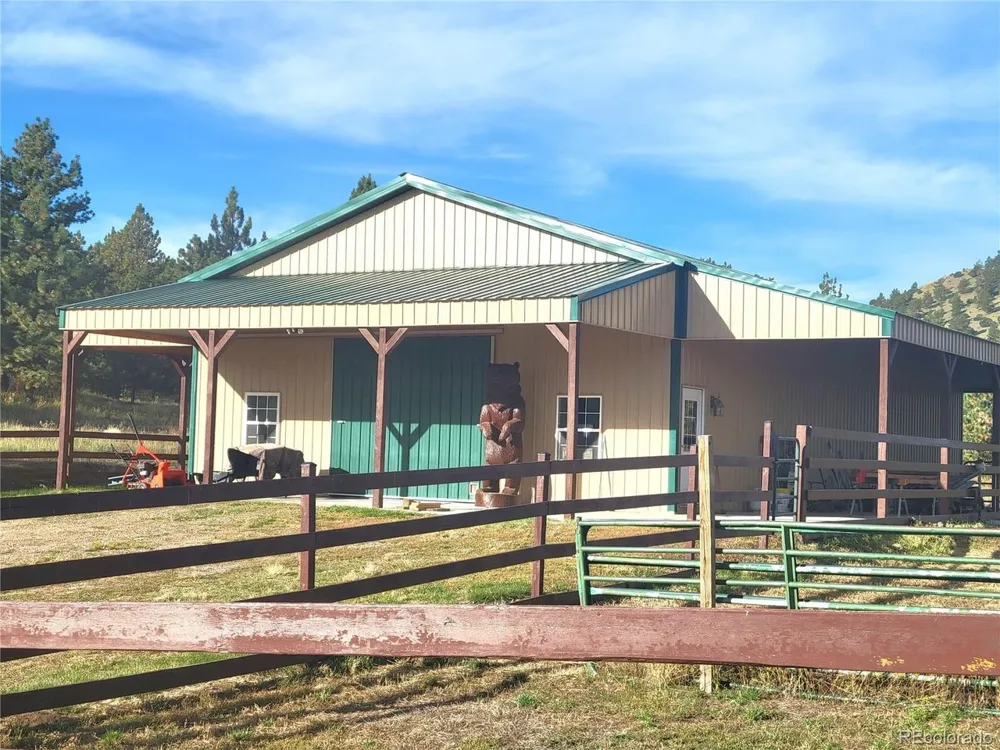 1321 Bristlecone Road Guffey, CO 80820