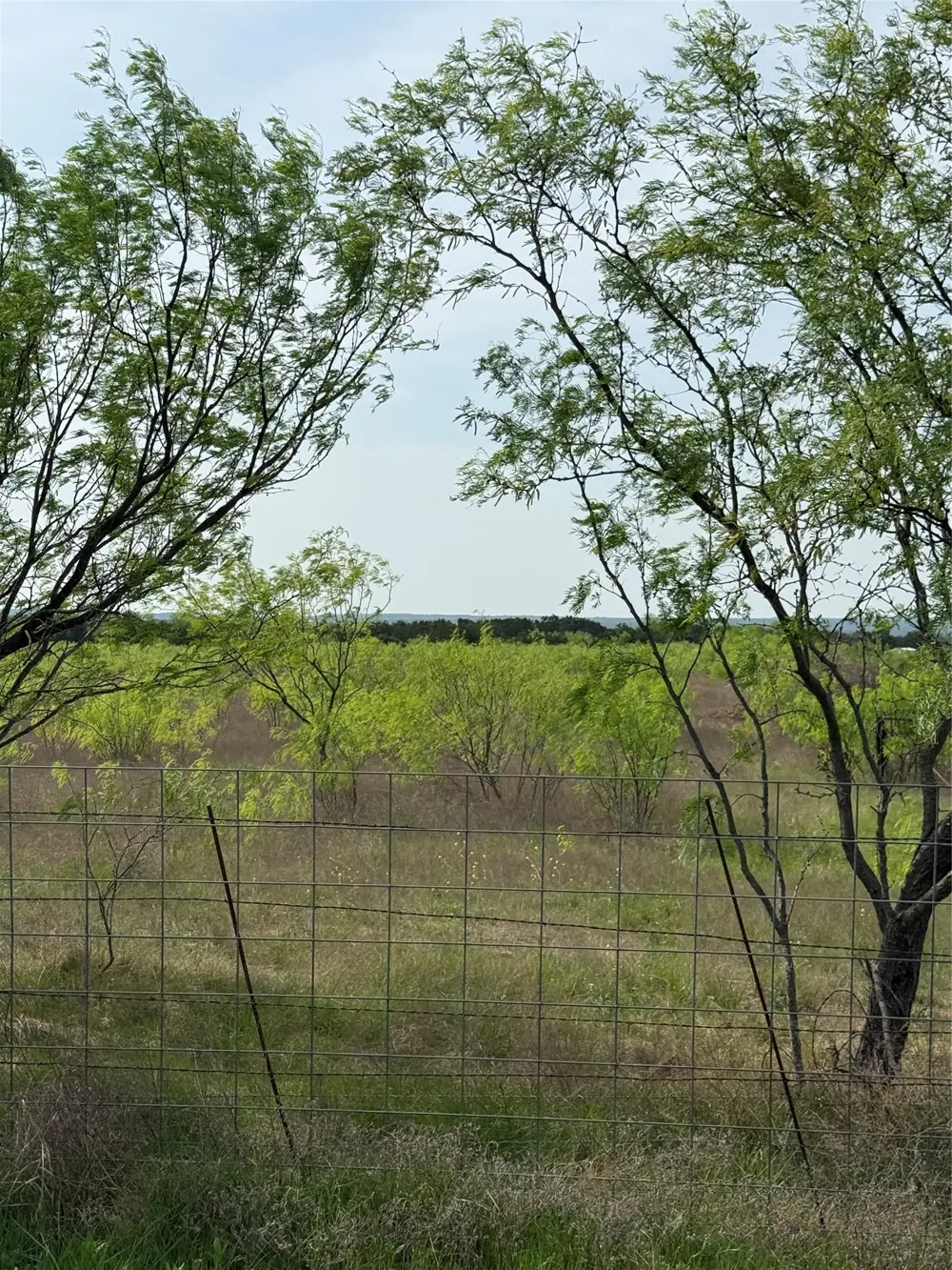 School House Road Gordon, TX 76453